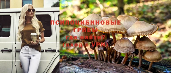 ПСИЛОЦИБИНОВЫЕ ГРИБЫ Зеленокумск
