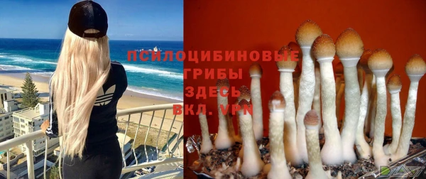 ПСИЛОЦИБИНОВЫЕ ГРИБЫ Зеленокумск