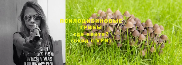 бошки Зеленодольск