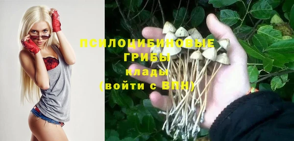 ПСИЛОЦИБИНОВЫЕ ГРИБЫ Зеленокумск
