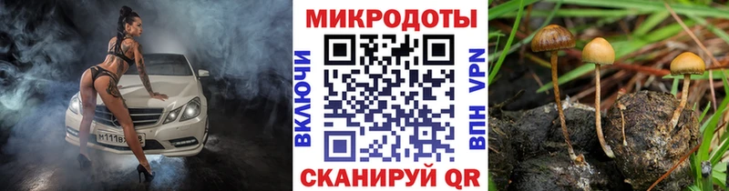 Псилоцибиновые грибы мухоморы  дарнет шоп  Каменск-Шахтинский 