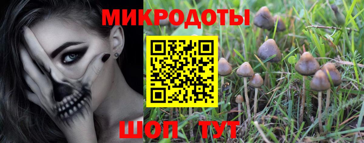 Галлюциногенные грибы Psilocybe  Вход с VPN  Каменск-Шахтинский 